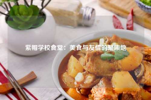 紫帽学校食堂：美食与友情的聚集地