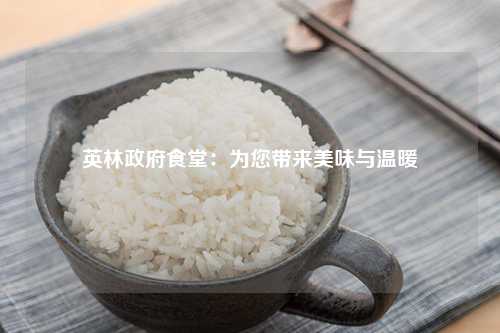 英林政府食堂：为您带来美味与温暖