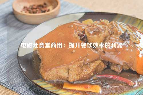 电磁灶食堂商用：提升餐饮效率的利器