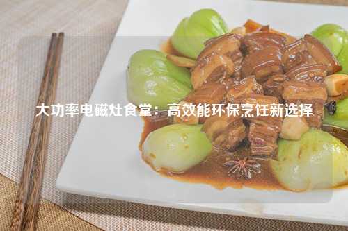 大功率电磁灶食堂：高效能环保烹饪新选择