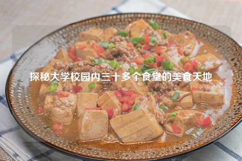 探秘大学校园内三十多个食堂的美食天地