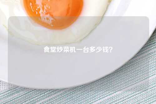 食堂炒菜机一台多少钱？